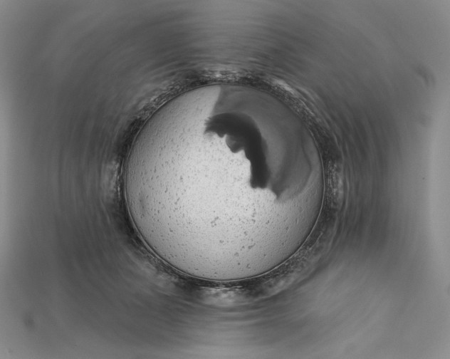 X0000115170511200911121742