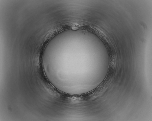 X0000115170512200911121742