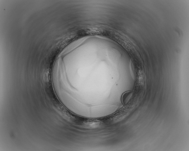 X0000115170514200911121742