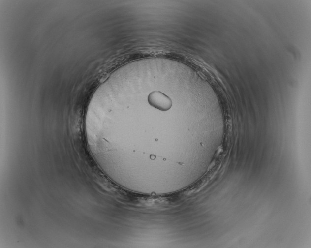 X0000115170517200911121742