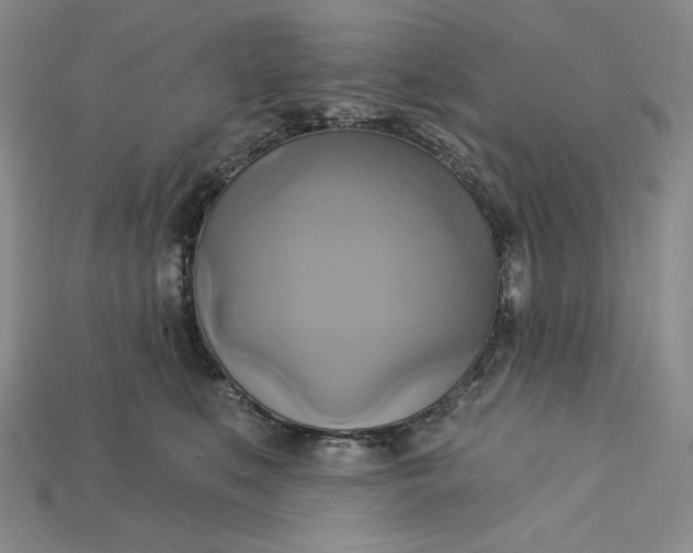 X0000115170519200911121742