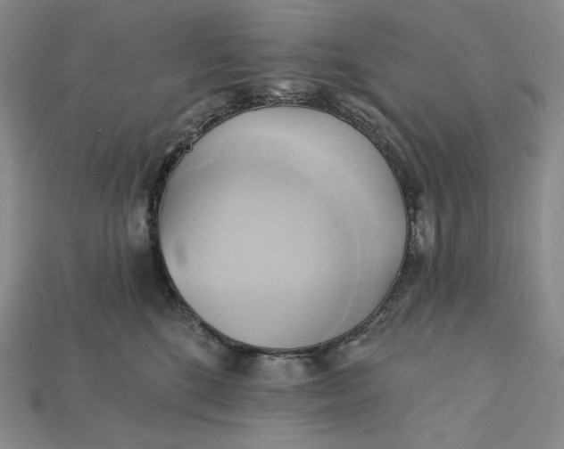 X0000115170520200911121742