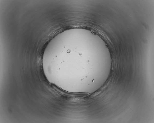 X0000115170521200911121742