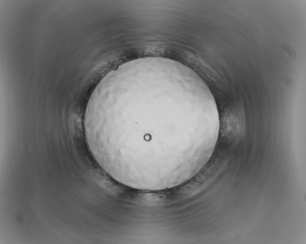 X0000115170522200911121742