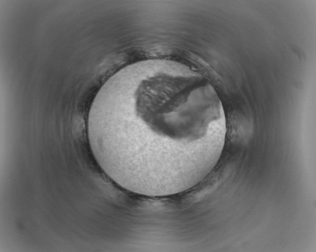 X0000115170523200911121742