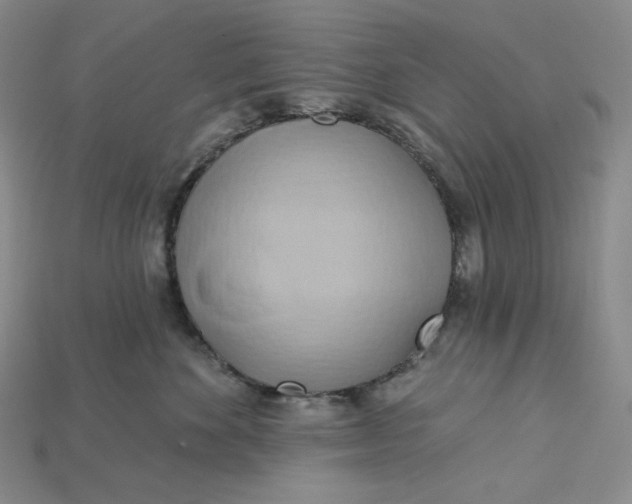 X0000115170524200911121742