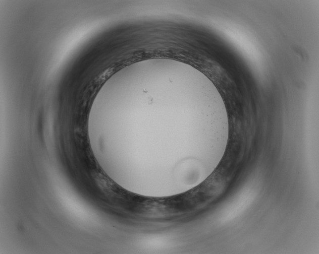 X0000115170526200911121742