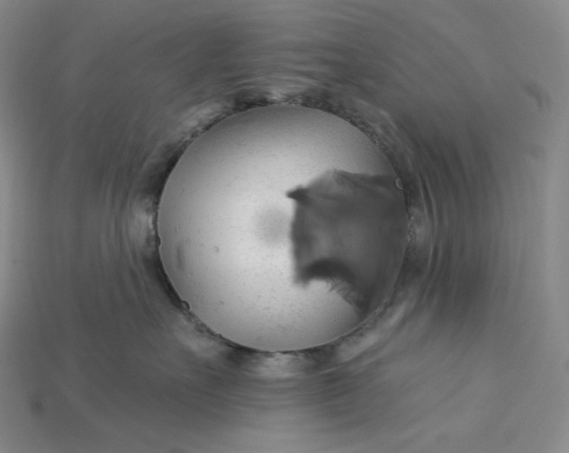 X0000115170527200911121742