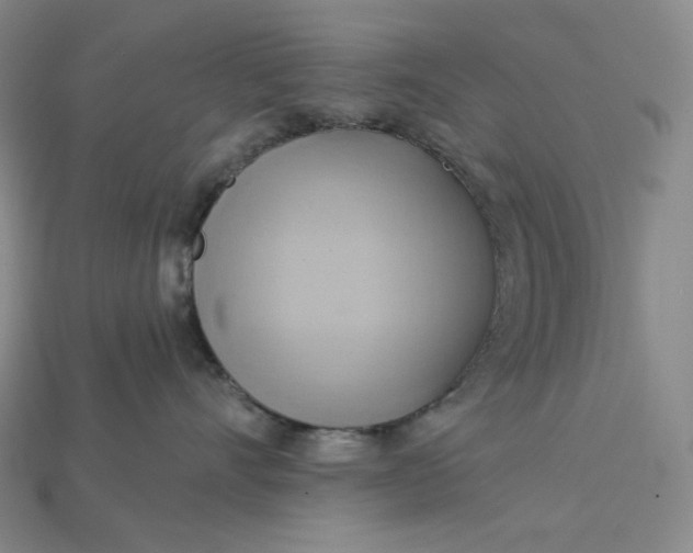 X0000115170528200911121742