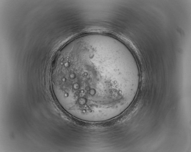 X0000115170529200911121741
