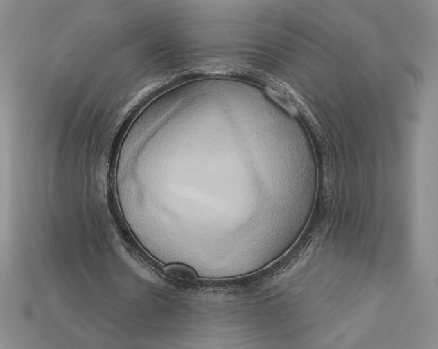 X0000115170530200911121742