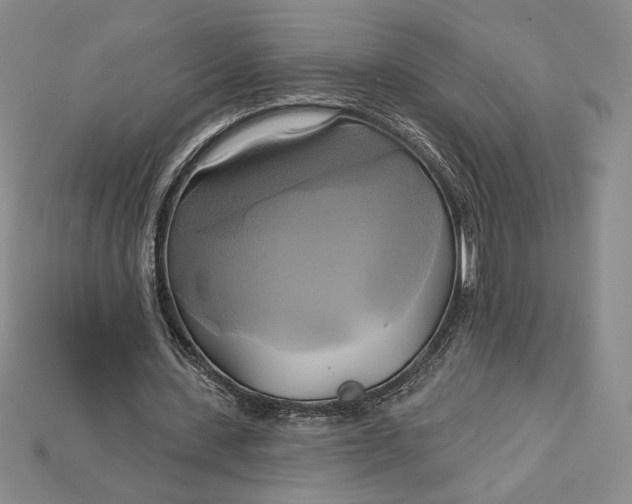 X0000115170531200911121742