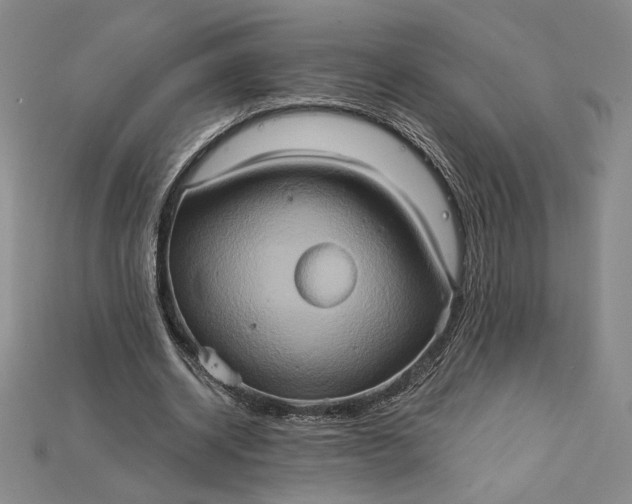 X0000115170534200911121742