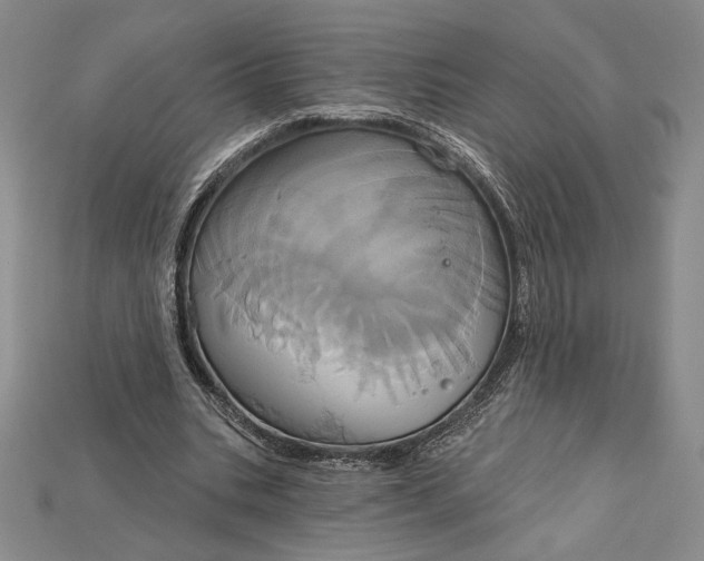 X0000115170535200911121742