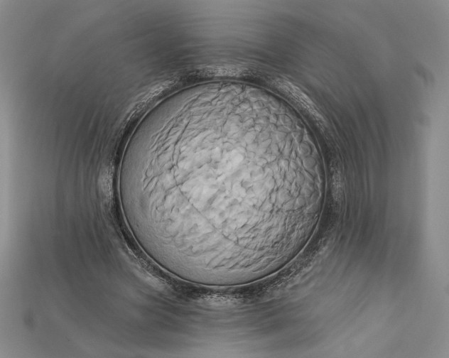 X0000115170537200911121742