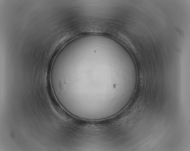 X0000115170538200911121742