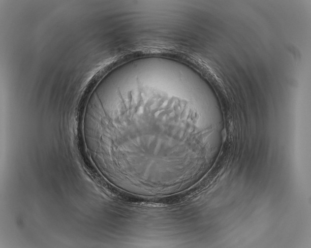 X0000115170539200911121742