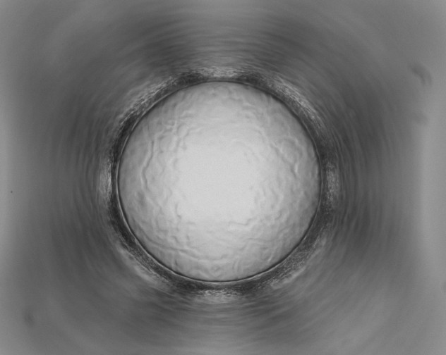X0000115170541200911121742