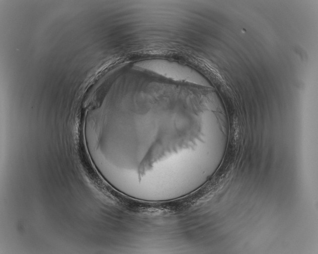 X0000115170542200911121742