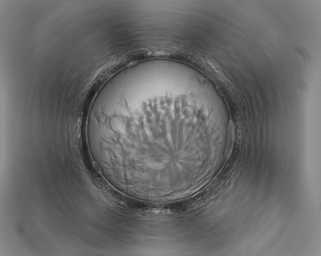 X0000115170543200911121742