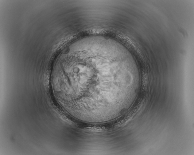 X0000115170545200911121742