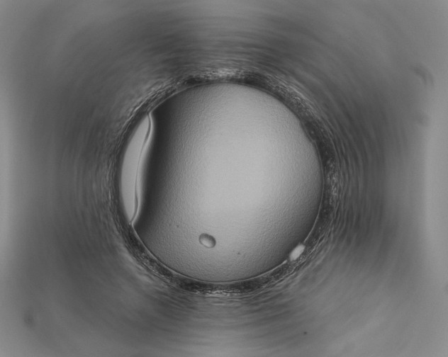 X0000115170546200911121742
