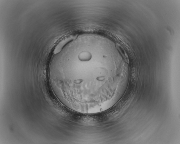 X0000115170547200911121742