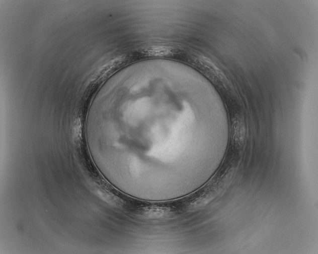 X0000115170549200911121742