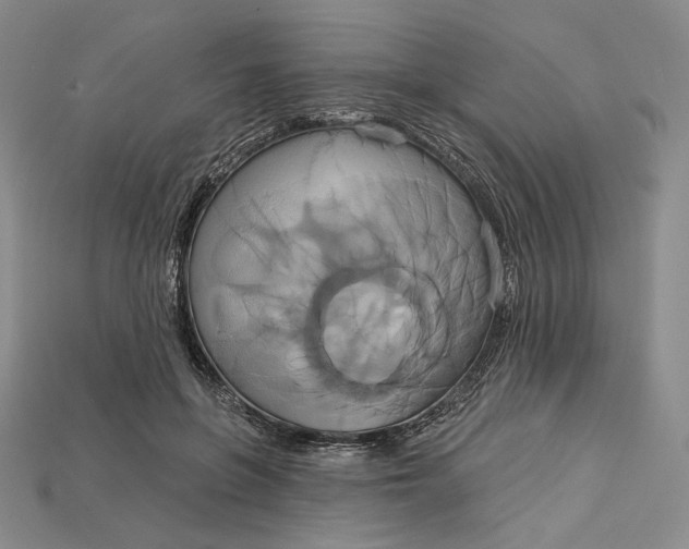 X0000115170551200911121742
