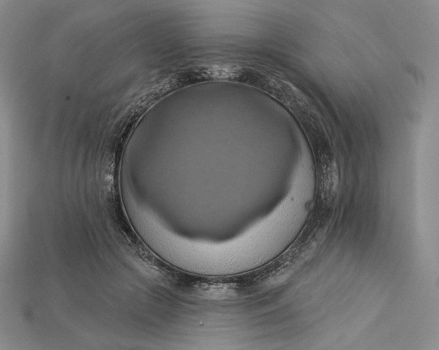 X0000115170553200911121742