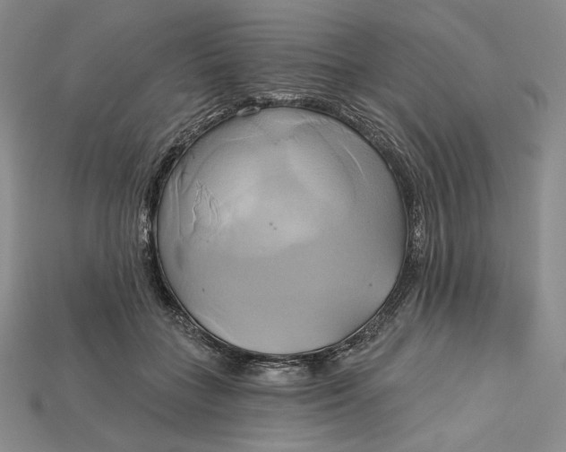 X0000115170555200911121742