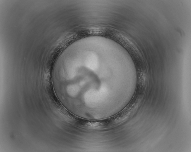 X0000115170557200911121742