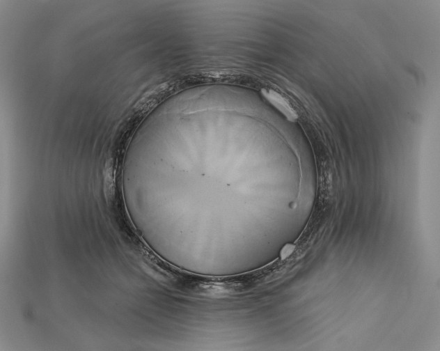 X0000115170558200911121742
