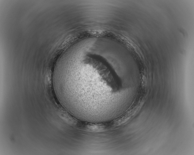 X0000115170561200911121742
