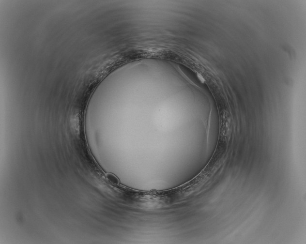 X0000115170562200911121742