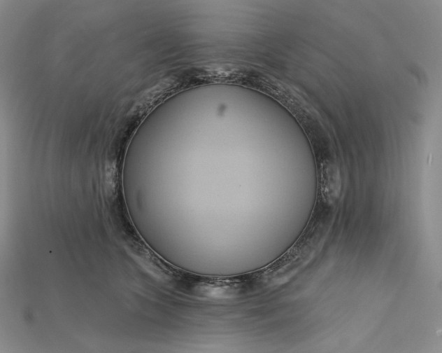 X0000115170563200911121742