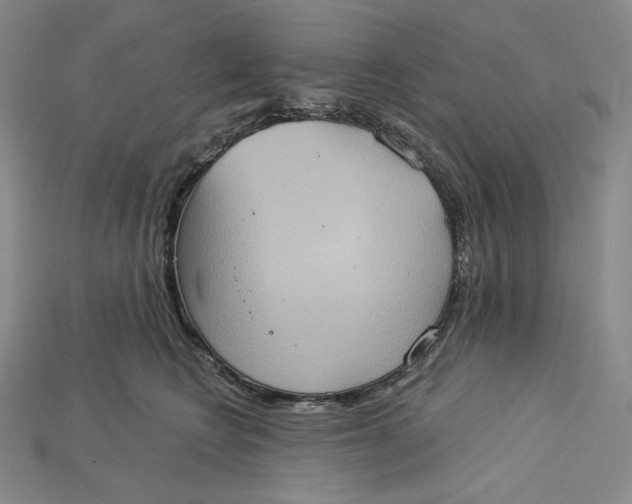 X0000115170566200911121742