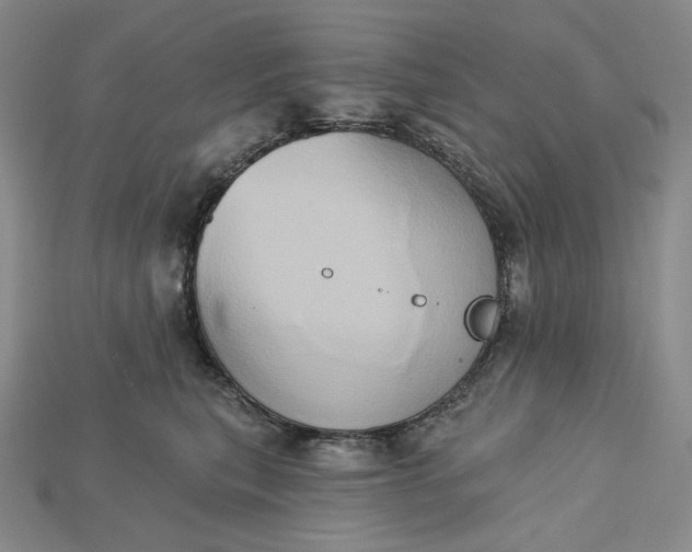 X0000115170567200911121742