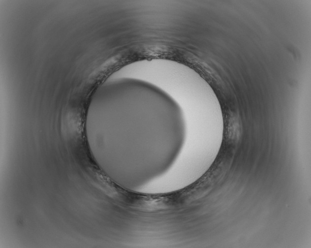 X0000115170569200911121742