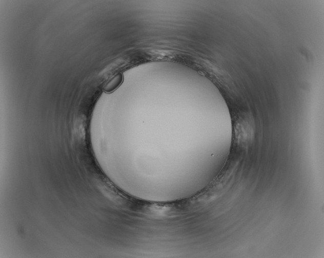 X0000115170570200911121742