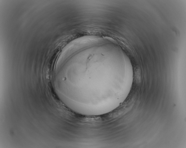 X0000115170571200911121742