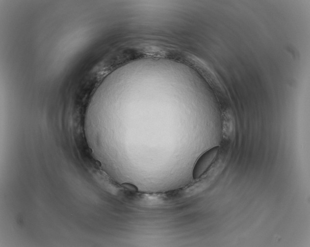 X0000115170573200911121742