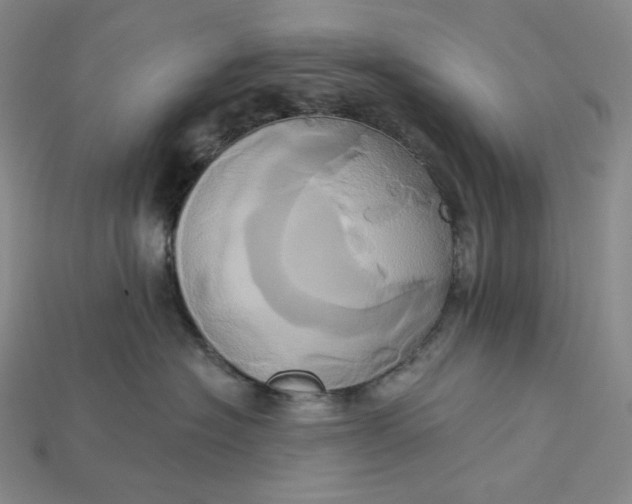 X0000115170574200911121742