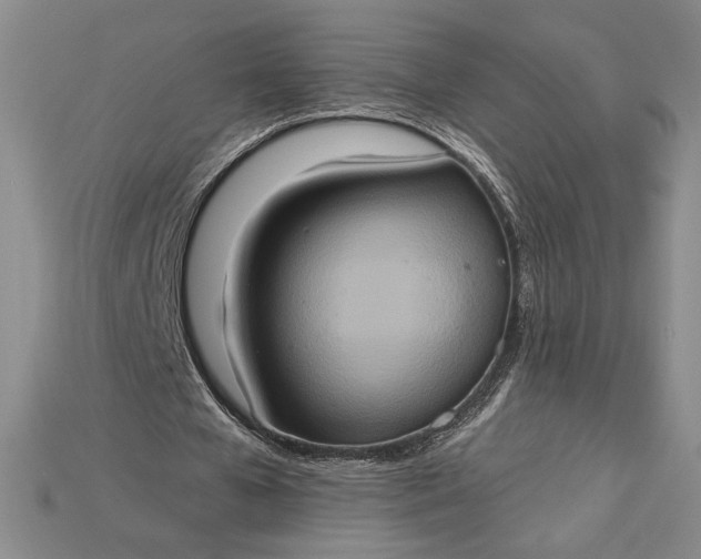 X0000115170577200911121741
