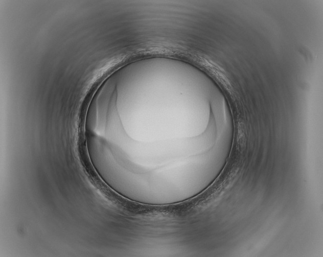 X0000115170578200911121741
