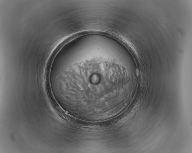 X0000115170580200911121741