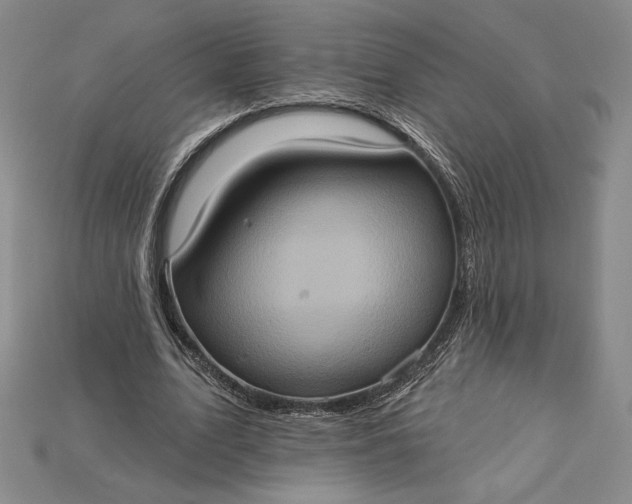 X0000115170583200911121741