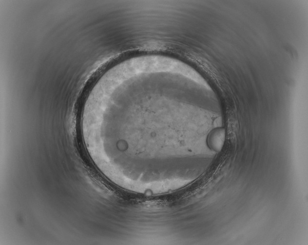 X0000115170584200911121741