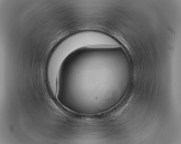 X0000115170585200911121741
