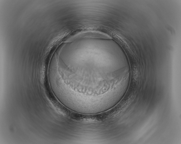 X0000115170586200911121741